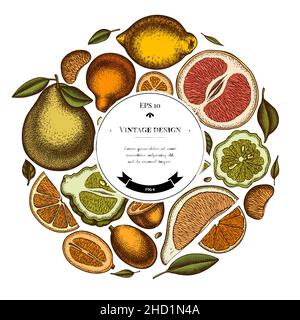 Motif couronne aux agrumes.Kumquat dessiné à la main, citron, tangelo, pamplemousse, orange,citron vert, mandarine, pomelo, bergamote. Illustration de Vecteur