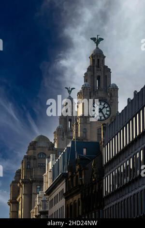 Tour de l'horloge Royal Liver Building avec deux sculptures d'oiseaux de foie, Bertie et Bella. Le mâle, Bertie, regarde la ville, et la femelle, Bella, regarde la mer Banque D'Images