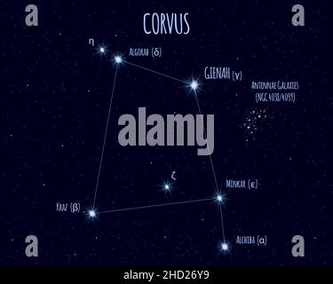 Corvus (Corbeau), la constellation d'illustration vectorielle avec les noms de stars de base contre le ciel étoilé Illustration de Vecteur