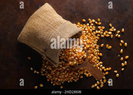 Maïs avec une cuillère en bois dans un sac en toile de jute isolé sur fond rustique foncé.Graines de maïs en sac.Grains de maïs secs non cuits pour le maïs soufflé Banque D'Images