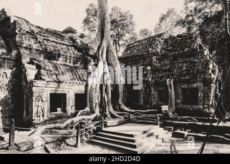 Angkor Wat au Cambodge.Photographie en noir et blanc, sépia Banque D'Images