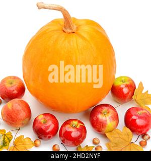 Citrouille et pommes rouges isolées sur fond blanc. Banque D'Images