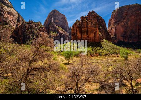 Grand point de vue du Trône blanc dans le parc national de Zion Banque D'Images