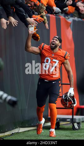 Cincinnati, États-Unis.02nd janvier 2022.Le juge en chef Cincinnati BengalsUzomah (87) célèbre après avoir vaincu les Kansas City Chiefs et remporté le championnat de la division nord de l'AFC au stade Paul Brown à Cincinnati, Ohio, le dimanche 2 janvier 2022.Photo de John Sommers II /UPI crédit: UPI/Alay Live News Banque D'Images