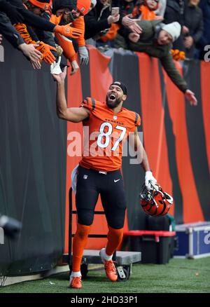 Cincinnati, États-Unis.02nd janvier 2022.Le juge en chef Cincinnati BengalsUzomah (87) célèbre après avoir vaincu les Kansas City Chiefs et remporté le championnat de la division nord de l'AFC au stade Paul Brown à Cincinnati, Ohio, le dimanche 2 janvier 2022.Photo de John Sommers II /UPI crédit: UPI/Alay Live News Banque D'Images