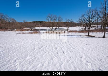 Paysage d'hiver dans une savane du Midwest dans la réserve naturelle de Crabtree dans l'Illinois Banque D'Images