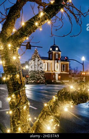 Arbre de Noël et lumières au palais de justice du comté de Transylvanie - main Street, Brevard, Caroline du Nord, États-Unis Banque D'Images