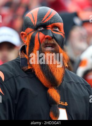 Cincinnati, États-Unis.02nd janvier 2022.Les fans des Cincinnati Bengals applaudissent pour leur équipe contre les Kansas City Chiefs au stade Paul Brown à Cincinnati, Ohio, le dimanche 2 janvier 2022.Photo de John Sommers II /UPI crédit: UPI/Alay Live News Banque D'Images