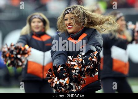 Cincinnati, États-Unis.02nd janvier 2022.Le cheerleader des Bengals de Cincinnati applaudit pour son équipe contre les chefs de Kansas City pendant la deuxième moitié du match au stade Paul Brown à Cincinnati, Ohio, le dimanche 1 janvier 2022.Photo de John Sommers II /UPI crédit: UPI/Alay Live News Banque D'Images