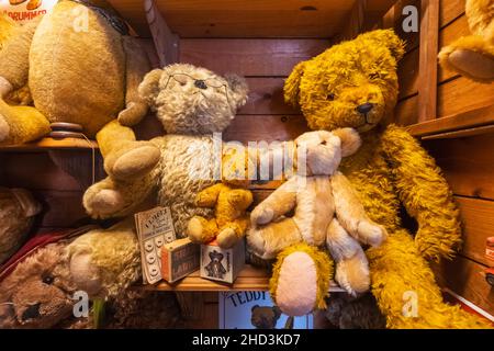 Angleterre, Dorset, Dorchester, Musée de l'ours en peluche, exposition des ours en peluche anciens Banque D'Images