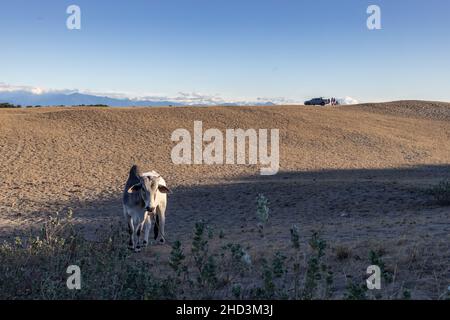 Magnifique paysage aux dunes de sable de Laoag City, Philippines Banque D'Images