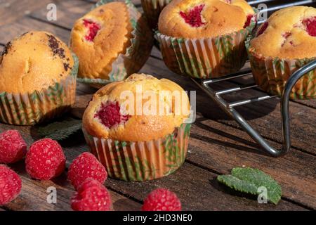 un gros plan des muffins aux canneberges Banque D'Images