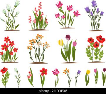 Ensemble de fleurs printanières sur le lit de jardin.Dessin vectoriel floral. Illustration de Vecteur