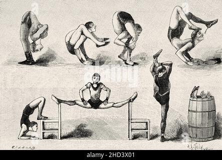 Divers exercices de dislocation effectués par des acrobates de cirque.Ancienne illustration gravée du XIXe siècle de la nature 1885 Banque D'Images