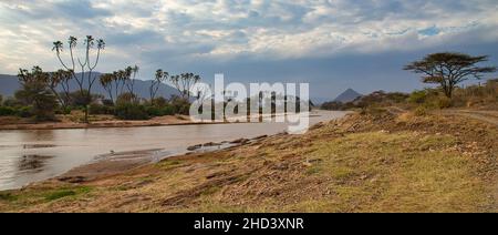 Paysage sur la rivière Ewaso Ngiro dans la réserve nationale de Samburu au Kenya. Banque D'Images