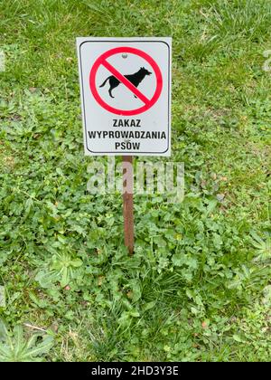 Panneau en métal blanc avec inscription interdisant la marche des chiens et l'interdiction de défécation dans le parc avec de l'herbe verte.Pas de signe de chien.Inscription en poli. Banque D'Images