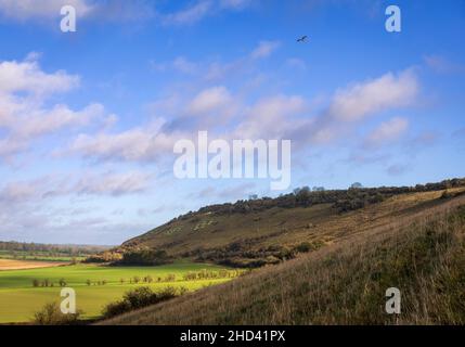 Ascendant Fovant à côté des insignes sur les West Wiltshire Downs, Cranbourne Chase, sud-ouest de l'Angleterre Banque D'Images