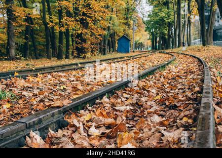 Gare abandonnée dans la forêt d'automne ou vieux parc public avec des feuilles jaunes tombées - magnifique paysage d'automne. Feuillage coloré Banque D'Images