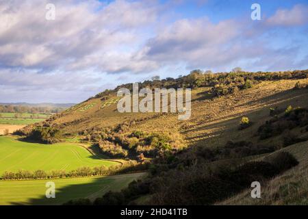 Ascendant Fovant à côté des insignes sur les West Wiltshire Downs, Cranbourne Chase, sud-ouest de l'Angleterre Banque D'Images