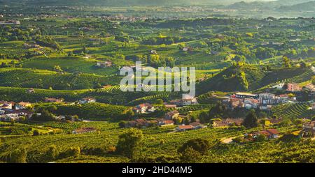 Prosecco Hills, vue panoramique sur les vignobles et les vignobles, site classé au patrimoine mondial de l'UNESCO.Valdobbiadene, province de Trévise, Vénétie, Italie Banque D'Images