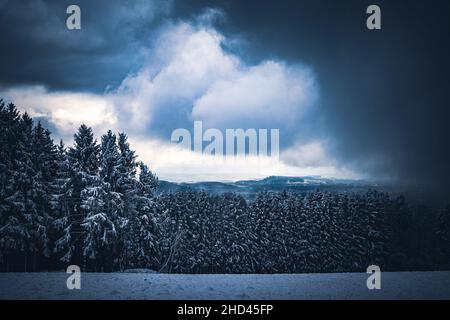 Wald in Bayern im Winter mit blauem Nebel am Abend mit Nebel und Schnee. Banque D'Images