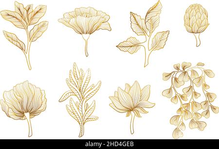 Fleurs Golden Lines.Fleur japonaise botanique d'or, branches asiatiques.Éléments de luxe floral, art de la nature unique lotus et feuilles.Magnifique et chic Illustration de Vecteur