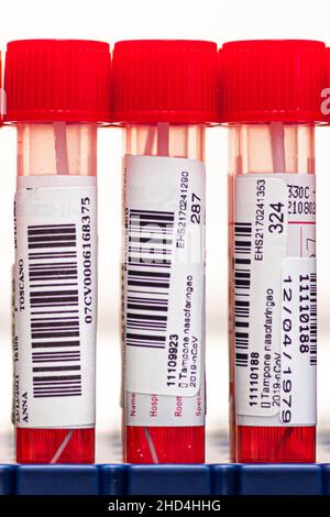 Série réelle de tubes à essai PCR moléculaires, écouvillons nasaux et oropharyngés avec réactif rouge en flacons, tests de dépistage du SRAS COV-2, Covid-19 ou coronavirus Banque D'Images