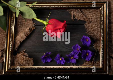 Dans un cadre magnifique, des pièces de toile, une rose rouge et des violettes sur un fond en bois.Décor et décoration. Banque D'Images