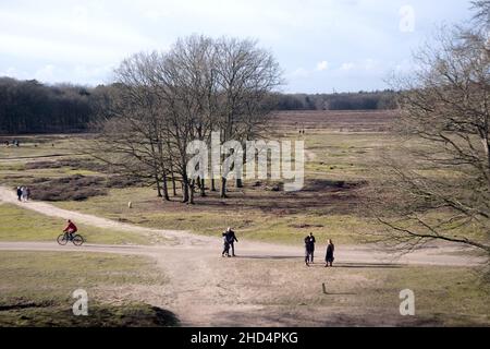 Photo en grand angle des gens qui marchent dans la rue le week-end Banque D'Images