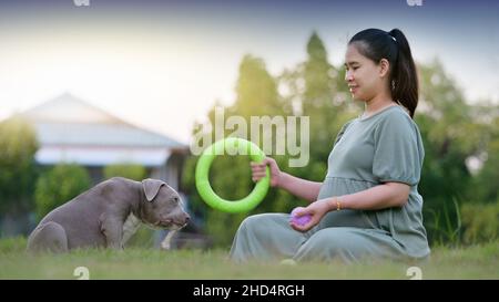 Femme enceinte assise avec un chien à la maison, chien bouleur américain chiot drôle et mignon, chien maman heureux famille Banque D'Images