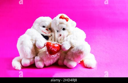 Singes doux tenant un coeur sur un fond rose.Un symbole de l'amour. saint-valentin. Banque D'Images