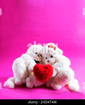 Singes doux tenant un coeur sur un fond rose.Un symbole de l'amour. saint-valentin. Banque D'Images