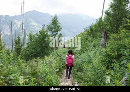 Femme qui randonnée sur le sentier de montagne de gravier.Prise de vue de derrière. Banque D'Images