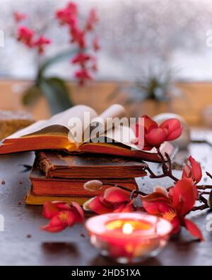 L'hiver avec une bougie sur une pile de vieux livres.Fenêtre au coucher du soleil avec orchidés orange, roses et fuchsia et fleurs de magnolia.Bougies aromatiques, thé Banque D'Images