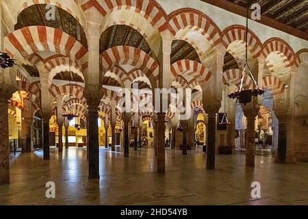 CORDOUE ANDALOUSIE ESPAGNE MOSQUÉE INTÉRIEURE - CATHÉDRALE OU MEZQUITA SALLE DE PRIÈRE HYPOSTYLE Banque D'Images