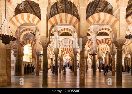 CORDOUE ANDALOUSIE ESPAGNE MOSQUÉE INTÉRIEURE - CATHÉDRALE OU MEZQUITA PERSONNES À L'INTÉRIEUR DE LA VASTE SALLE DE PRIÈRE HYPOSTYLE Banque D'Images