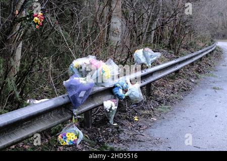 Galashiels, Royaume-Uni.03rd janvier 2022.Hommages floraux pour Mason MacKenzie et messages laissés sur le côté de la A7, après un accident le 27 décembre 2021 les agents de police routière aux frontières écossaises font appel à des témoins à la suite d'un accident de la route mortel près de Galashiels.L'incident s'est produit sur la A7 à environ 800 mètres au nord de Galashiels, impliquant un siège rouge Ibiza et un siège noir Ibiza vers 9,10 heures le lundi 27 décembre 2021.Crédit : Rob Gray/Alay Live News Banque D'Images