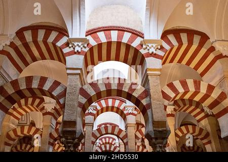 CORDOUE ANDALOUSIE ESPAGNE MOSQUÉE INTÉRIEURE - CATHÉDRALE OU MEZQUITA ARCHES ROUGES ET BLANCHES DANS LE VASTE HALL DE PRIÈRE HYPOSTYLE Banque D'Images