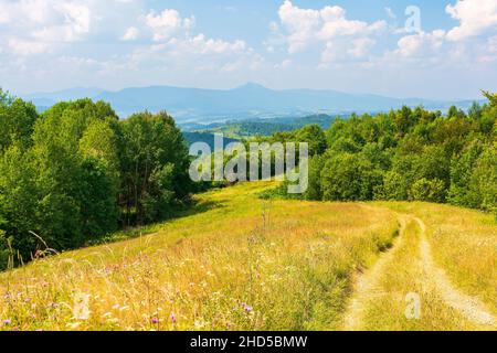 belle campagne de transcarpathia. après-midi ensoleillé. paysage estival pittoresque en montagne. prairies herbeuses et collines boisées. paysage d'esprit Banque D'Images