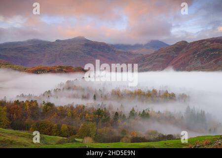 Brume matinale au-dessus de Little Langdale. Banque D'Images