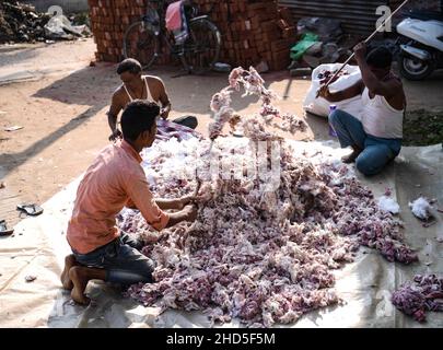 Les artisans traditionnels du coton travaillant dans une usine de coton faisant des couvertures pour la saison d'hiver.Agartala, Tripura, Inde. Banque D'Images