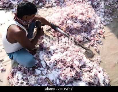 Les artisans traditionnels du coton travaillant dans une usine de coton faisant des couvertures pour la saison d'hiver.Agartala, Tripura, Inde. Banque D'Images