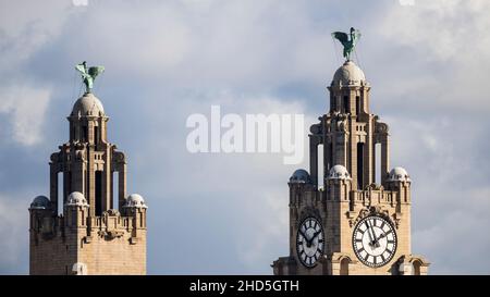 Liver Birds au sommet de l'édifice Royal Liver, en observant Liverpool et la rivière Mersey. Banque D'Images