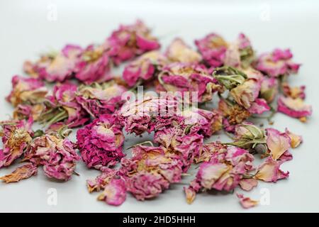 Sécher le thé des boutons de rose sur fond blanc.Foyer de la Séléktive. Banque D'Images
