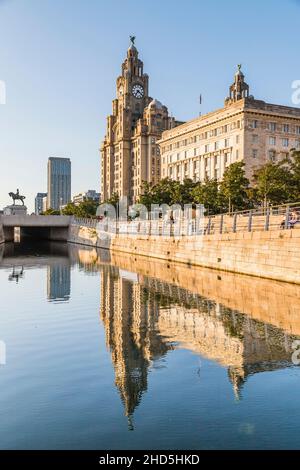 Royal Liver Building sur le front de mer de Liverpool se reflétant dans le canal de Leeds Liverpool. Banque D'Images