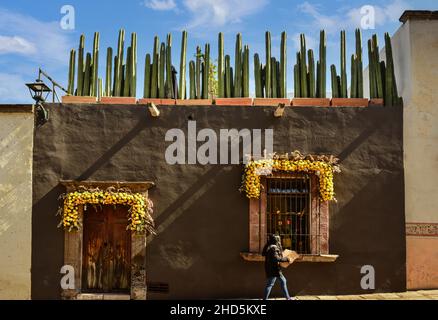 Une femme marche à côté d'un charmant bâtiment orné de guirlandes de fleurs jaunes autour de l'entrée de la porte et de la fenêtre avec un jardin sur le toit de Mexica en pot Banque D'Images