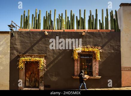 Une femme marche à côté d'un charmant bâtiment orné de guirlandes de fleurs jaunes autour de l'entrée de la porte et de la fenêtre avec un jardin sur le toit de Mexica en pot Banque D'Images