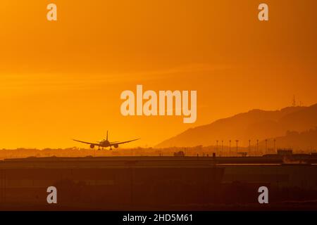Jet bimoteur atterrissant à l'aéroport de Barcelone au soleil au coucher du soleil. Plan granuleux avec des oiseaux dans le cadre. El Prat, Espagne. Banque D'Images