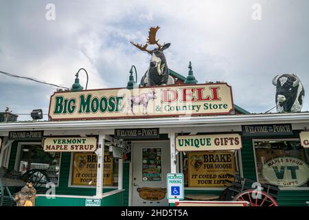 À l'intérieur d'un magasin éclectique pour les voyageurs dans les zones rurales du Vermont, aux États-Unis Banque D'Images