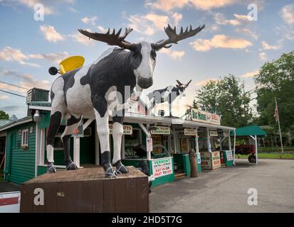 À l'intérieur d'un magasin éclectique pour les voyageurs dans les zones rurales du Vermont, aux États-Unis Banque D'Images